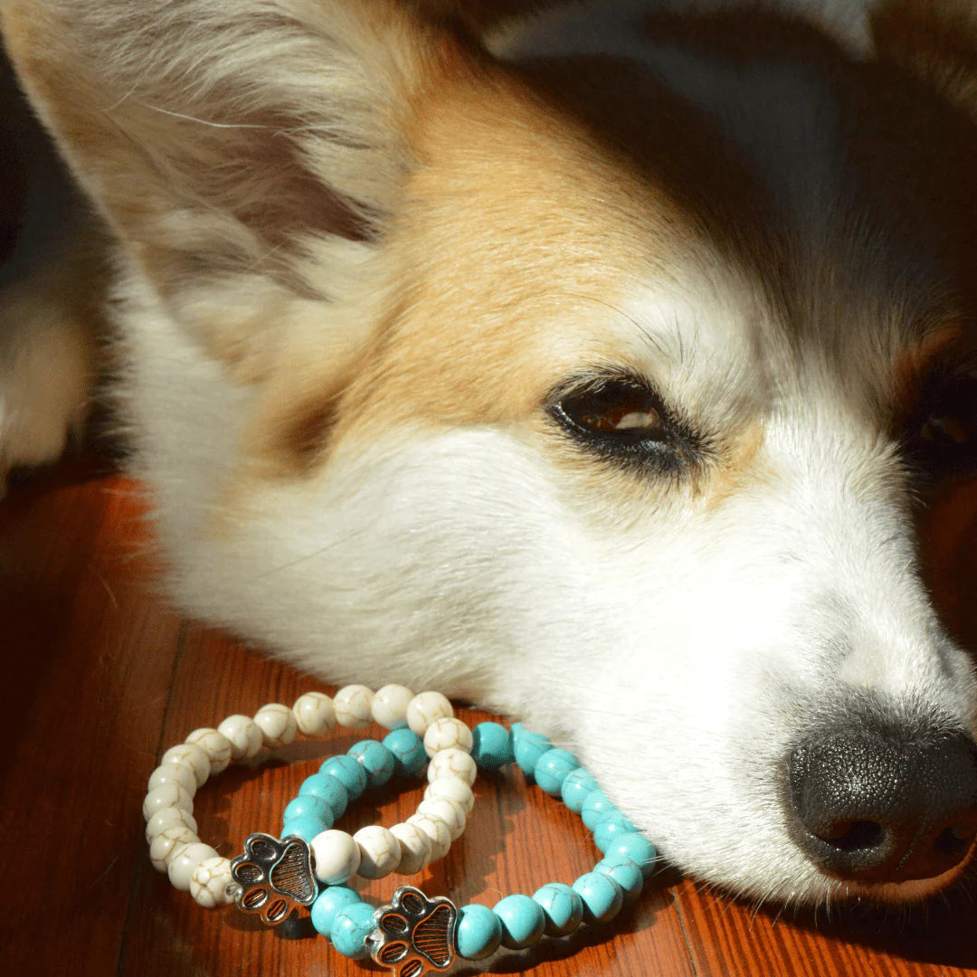 SAVE ALL DOGS Bracelet