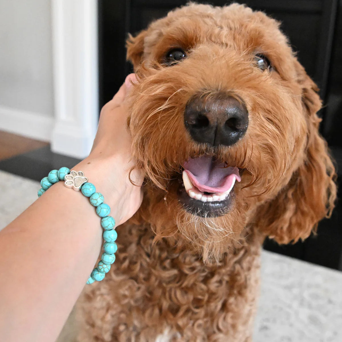 SAVE ALL DOGS Bracelet