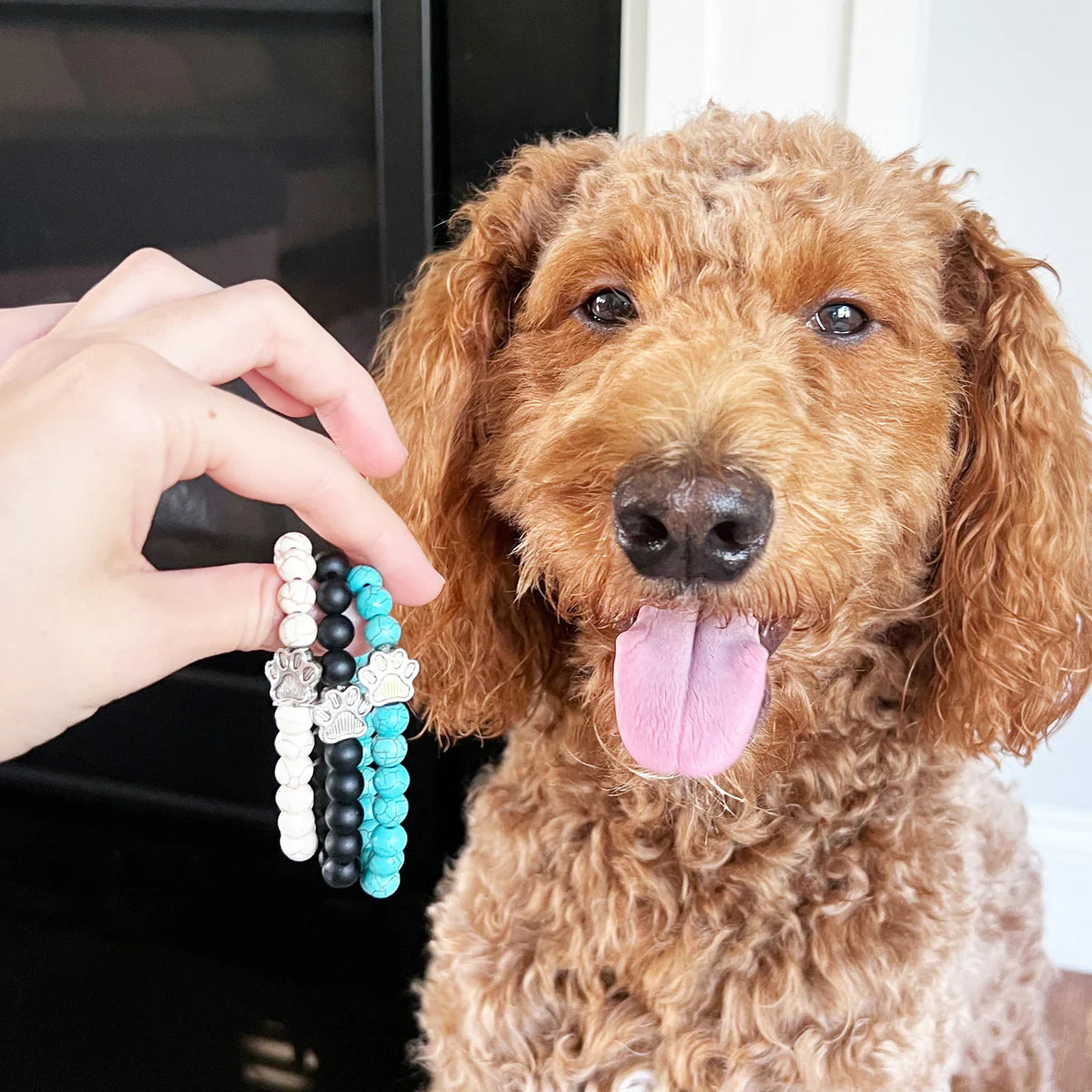 SAVE ALL DOGS Bracelet